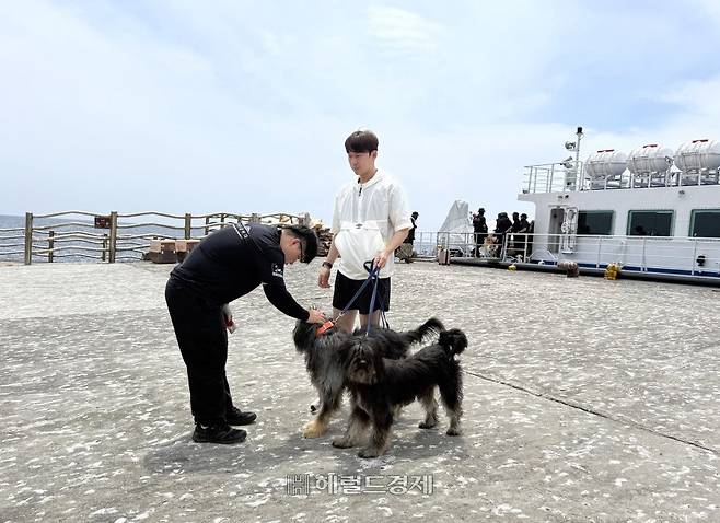 11대 설국˙은주가 지난 6월부터 독도생활을 시작했다.사진=[재) 한국삽살개재단 홈페이지]