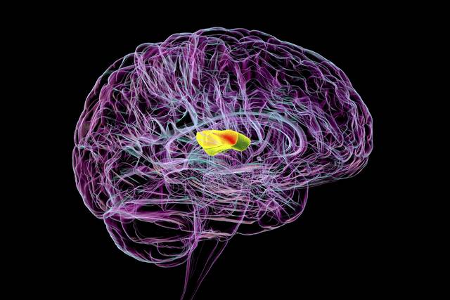 국내 연구팀이 스마트폰으로 자폐스펙트럼장애를 조기에 발견할 수 있는 도구를 개발했다. 사진은 기사의 특정 사실과 관련 없음. 클립아트코리아