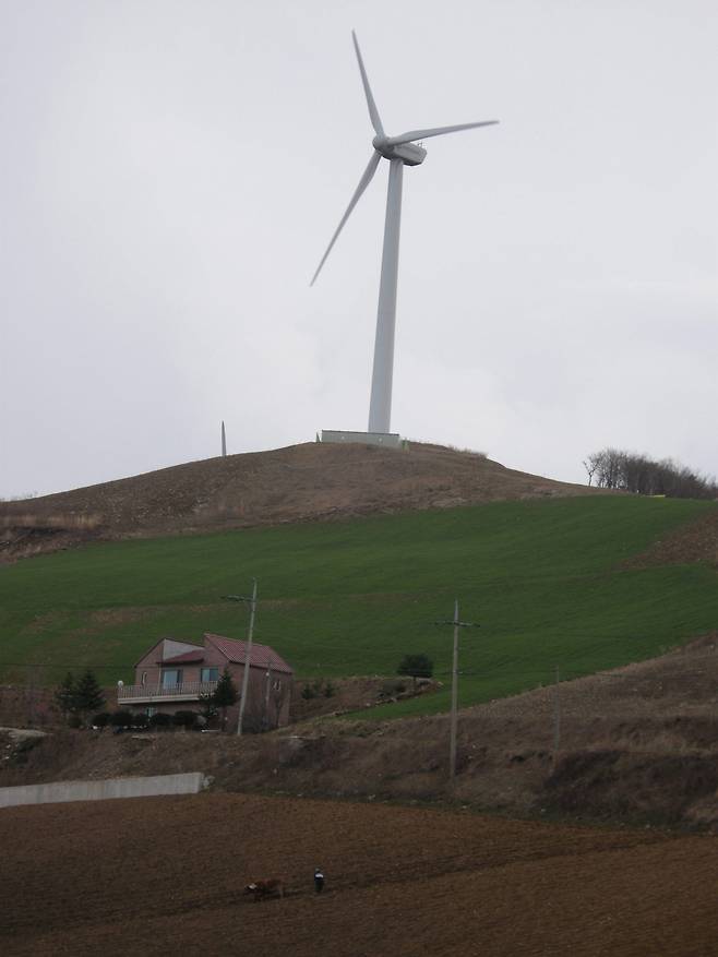 피복작물 사진 (농촌진흥청 제공) 2025.9.11 /뉴스1