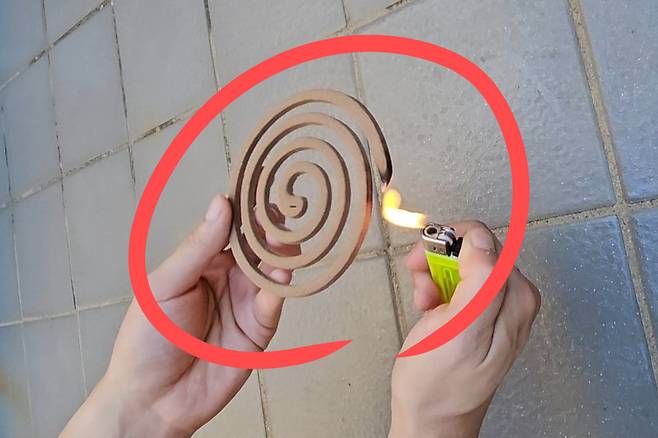 모기향을 피우고 있다.[독자 제공]