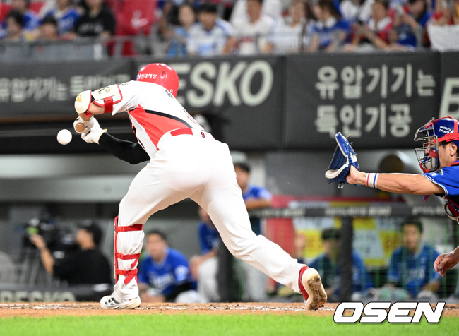[OSEN=광주, 이대선 기자] 10일 오후 광주-기아 챔피언스필드에서 2025 신한 SOL Bank KBO리그 KIA 타이거즈와 삼성 라이온즈의 경기가 열렸다.KIA는 네일, 삼성은 가라비토를 선발 투수로 내세웠다.6회말 무사 1루에서 KIA 윤도현이 번트를 시도하고 있다. 2025.09.10 /sunday@osen.co.kr