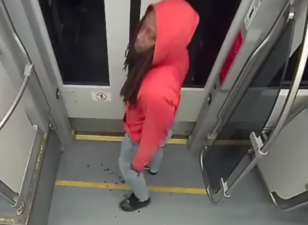 지난달 22일(현지시간) 미국 노스캐롤라이나주 샬럿의 경전철에서 우크라이나 난민 이리나 자루츠카를 살해한 뒤 피 묻은 칼을 들고 현장에 서 있는 범인의 모습