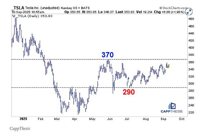 테슬라 주가 주간 차트 /캡테시스