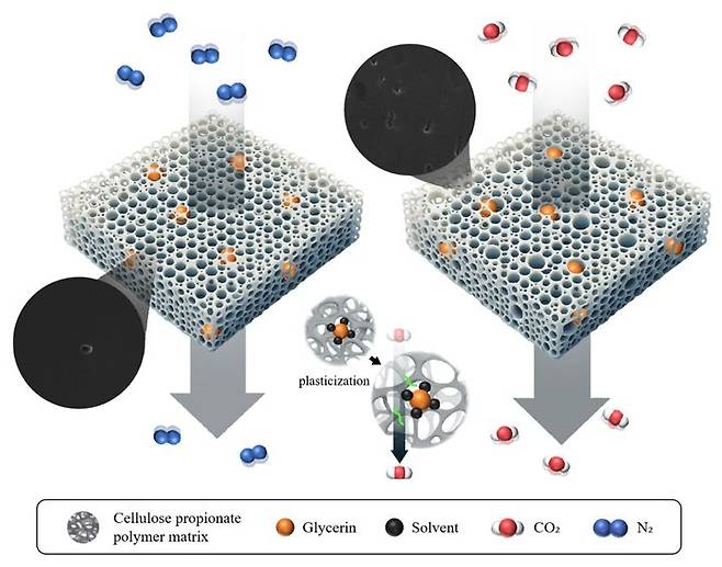 [서울=뉴시스] 사진은 리튬이온 배터리 폭발 막는 신개념 분리막 신기술 개발 모식도. (사진=상명대 제공) 2025.09.12. photo@newsis.com *재판매 및 DB 금지