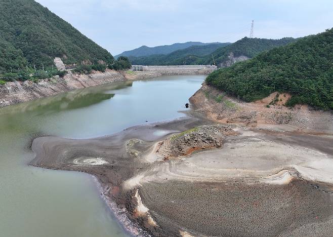 비 소식 간절한 강릉 오봉저수지. 연합뉴스