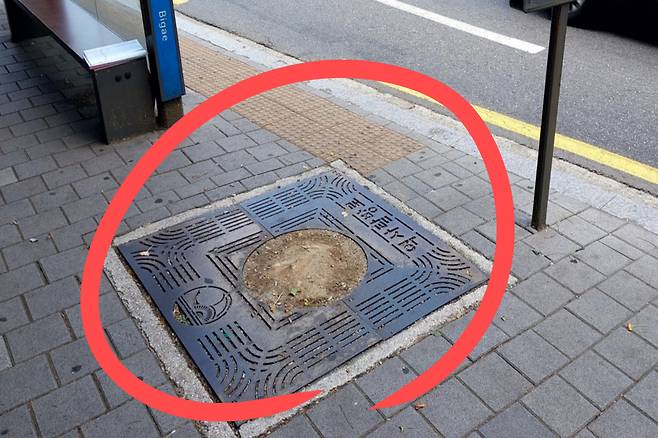 밑동이 잘린 가로수의 모습 [가로수시민연대 페이스북 갈무리]