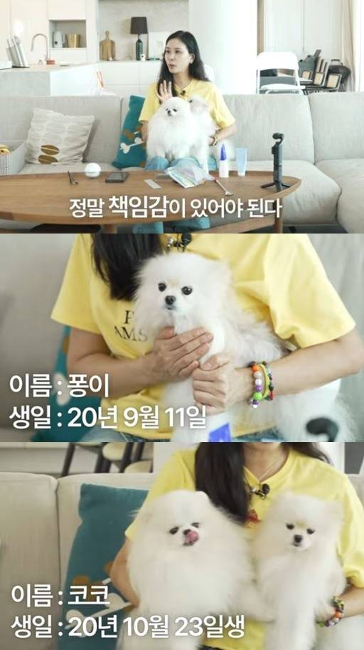 채널 ‘바로 그 고소영’