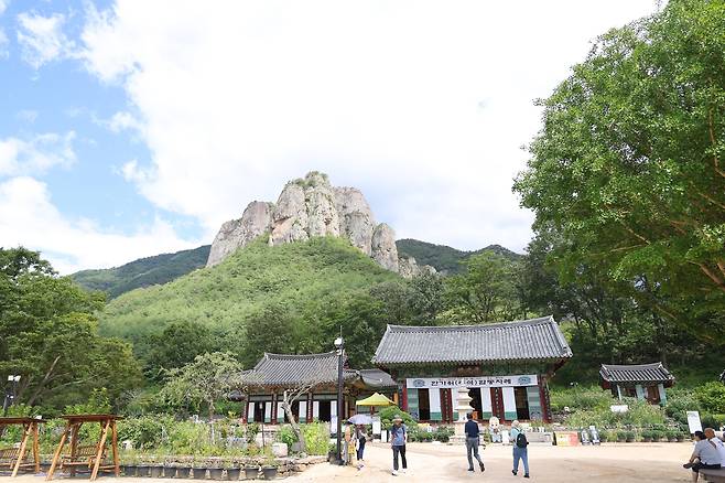 화마 피한 대전사  (청송=연합뉴스) 박세진 기자 = 지난 11일 경북 청송군 주왕산 국립공원 사찰 대전사에 등산객 발길이 이어지고 있다. 2025.9.11 psjpsj@yna.co.kr