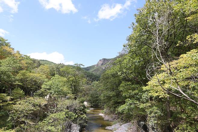 주왕산 국립공원 용추폭포로 가는 길  (청송=연합뉴스) 박세진 기자 = 지난 11일 경북 청송군 주왕산 국립공원 용추폭포로 가는 길의 모습. 2025.9.11 psjpsj@yna.co.kr