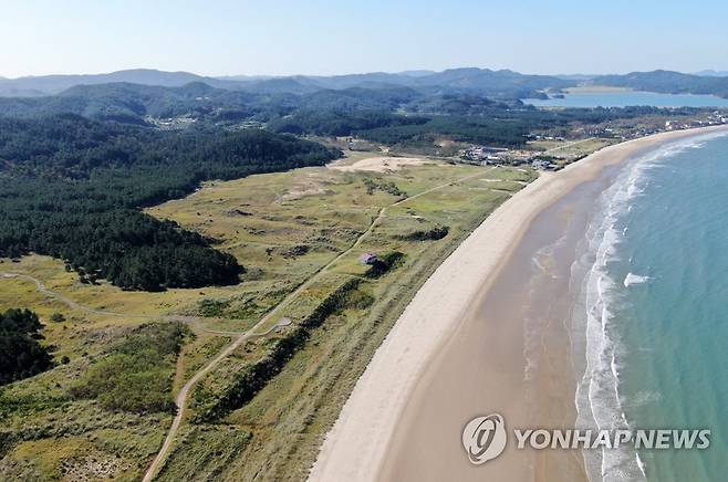 태안 신두리 해안사구 [태안군 제공.재판매 및 DB 금지]