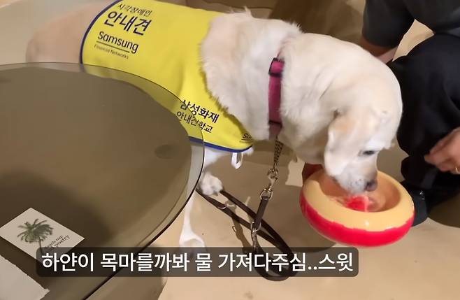 [유튜브 '우령의 유디오' 캡처]