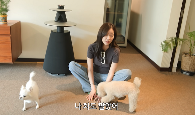 임수향. 사진|유튜브 영상 캡처