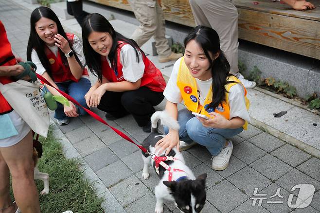 한국마즈 임직원들이 12일 발라당입양센터의 동물들을 위한 산책봉사를 하고 있다(센터 제공). ⓒ 뉴스1