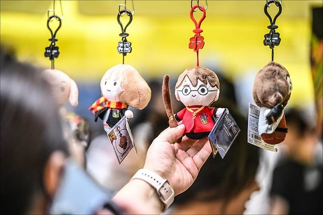 '서울아트굿즈페스티벌 2025'에서 판매된 굿즈들./사진=세종문화회관