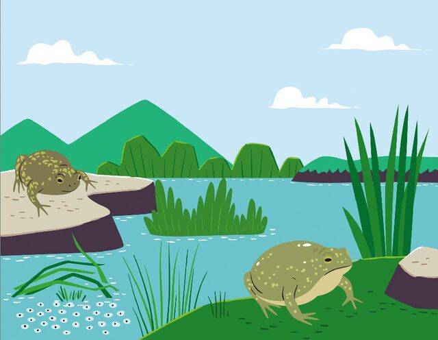 게티이미지뱅크