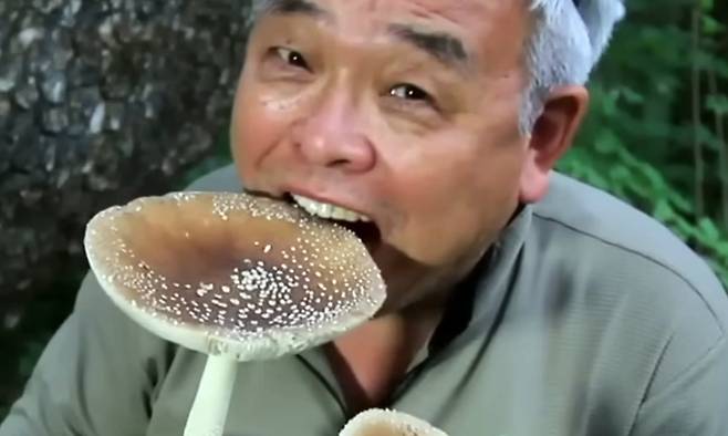 전문가가 아마톡신을 함유해 소량만 섭취해도 사망 가능성이 있는 독버섯인 마귀광대버섯을 들고 있는 모습. EBS 교육기획 다큐멘터리 다큐프라임 ‘독버섯(죽음에 이르는 유혹 편)’ 캡처