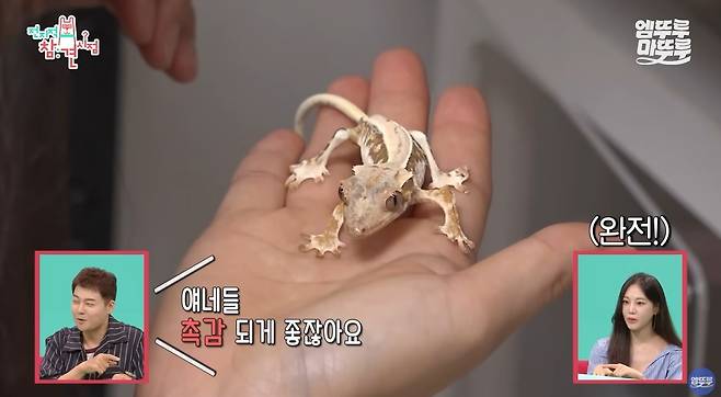 MBC ‘전지적 참견 시점’ 방송 캡처.