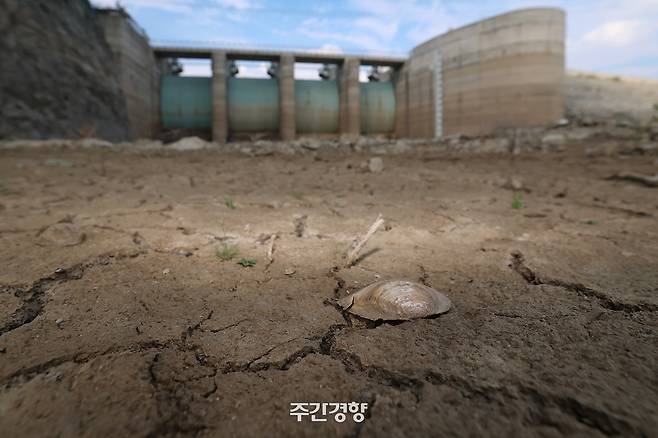 지난 8월 31일 강원도 강릉시 성산면 오봉저수지 바닥이 바짝 말라 있다. 정효진 기자