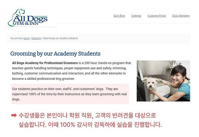 수강생 본인 혹은 학원 직원, 고객 반려견을 대상으로 미용 실습을 하는 해외 사례(동물자유연대 제공) ⓒ 뉴스1
