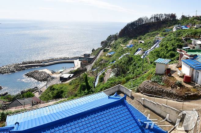 16일 경북 영덕 산불 피해지역인 석리 마을(알명 따개비 마을)에 철거작업이 끝난 집터 위에 방수천이 설치돼 있다. 2025.9.16/뉴스1 ⓒ News1 최창호 기자