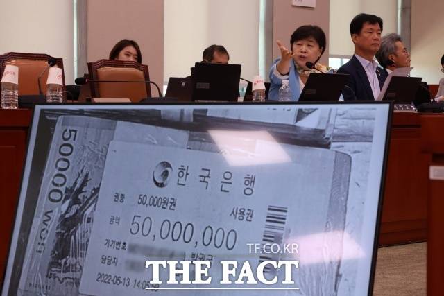 16일 경찰에 따르면 서울경찰청 공공범죄수사대는 국회에서의 증언·감정 등에 관한 법률(국회증언감정법) 위반 혐의로 김정민·남경민 서울남부지검 수사관을 입건했다. 사진은 지난 5일 서울 여의도 국회에서 열린 법제사법위원회 검찰개혁 입법청문회에서 관봉권 띠지 분실과 관련해 서영교 민주당 의원이 질의하고 있는 모습./뉴시스