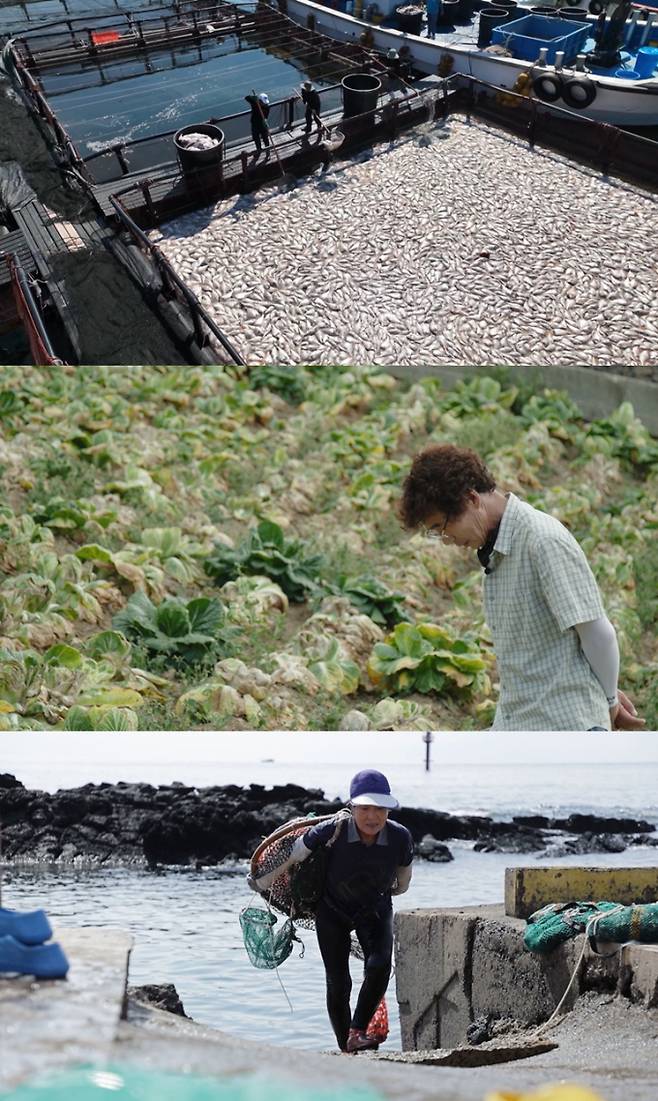 ‘PD수첩’ 기후의 청구서 (제공: MBC)