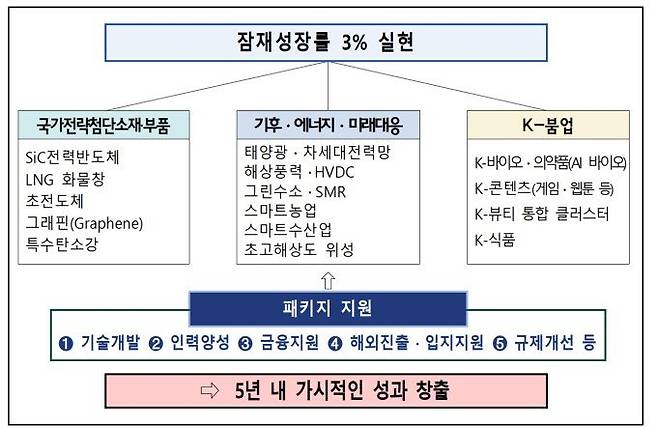 새정부 초혁신경제 15대 선도 프로젝트 추진계획안.