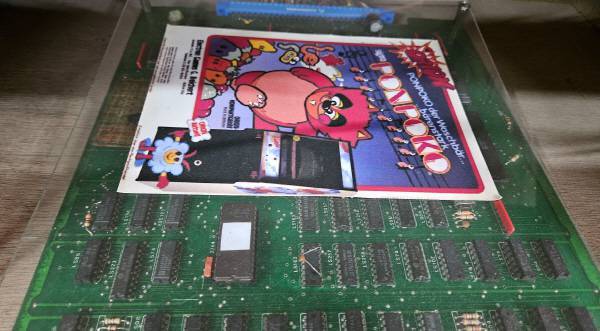 첫 번째 게임은 너구리