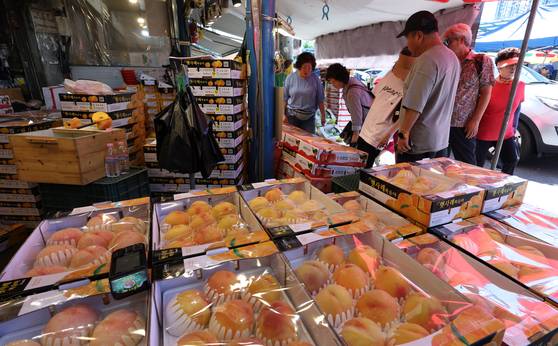 정부는 추석 연휴를 앞두고 15일 민생안정대책을 내놨다. 사과·배는 평소보다 출하량을 3배 이상으로 늘리고, 소·돼지 등 축산물과 명태·고등어 등 수산물 공급량도 확대한다. 전통시장 등에서 성수품을 구매하면 최대 50% 할인해준다. 사진은 서울 청량리 청과물 시장 모습. [뉴스1]