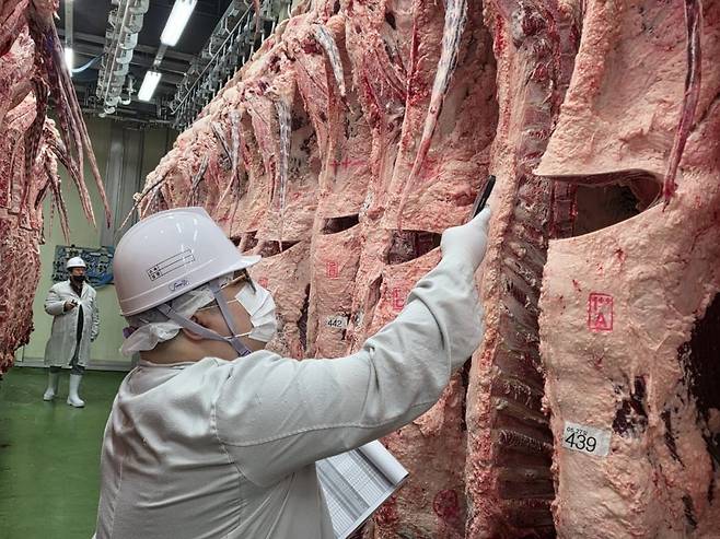 설화 한우 세트의 구성을 위해 공판장을 찾아 한우를 선별하고 있는 롯데백화점 축산 바이어의 모습 / 사진=롯데백화점 제공
