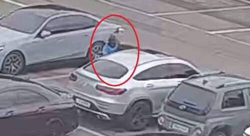 과천 서울대공원 차량털이 현장 CCTV. 과천경찰서 제공