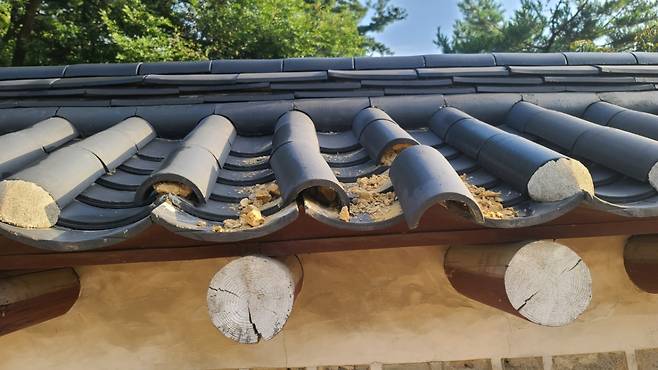 지난 15일 세계문화유산 종묘의 담벼락이 훼손된 모습. /사진 = 국가유산청 제공