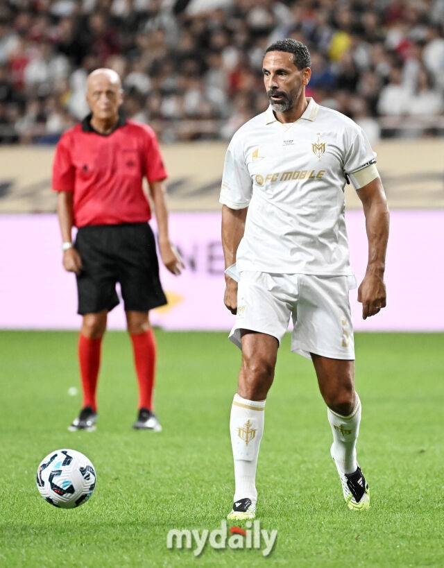 퍼디난드/마이데일리 DB