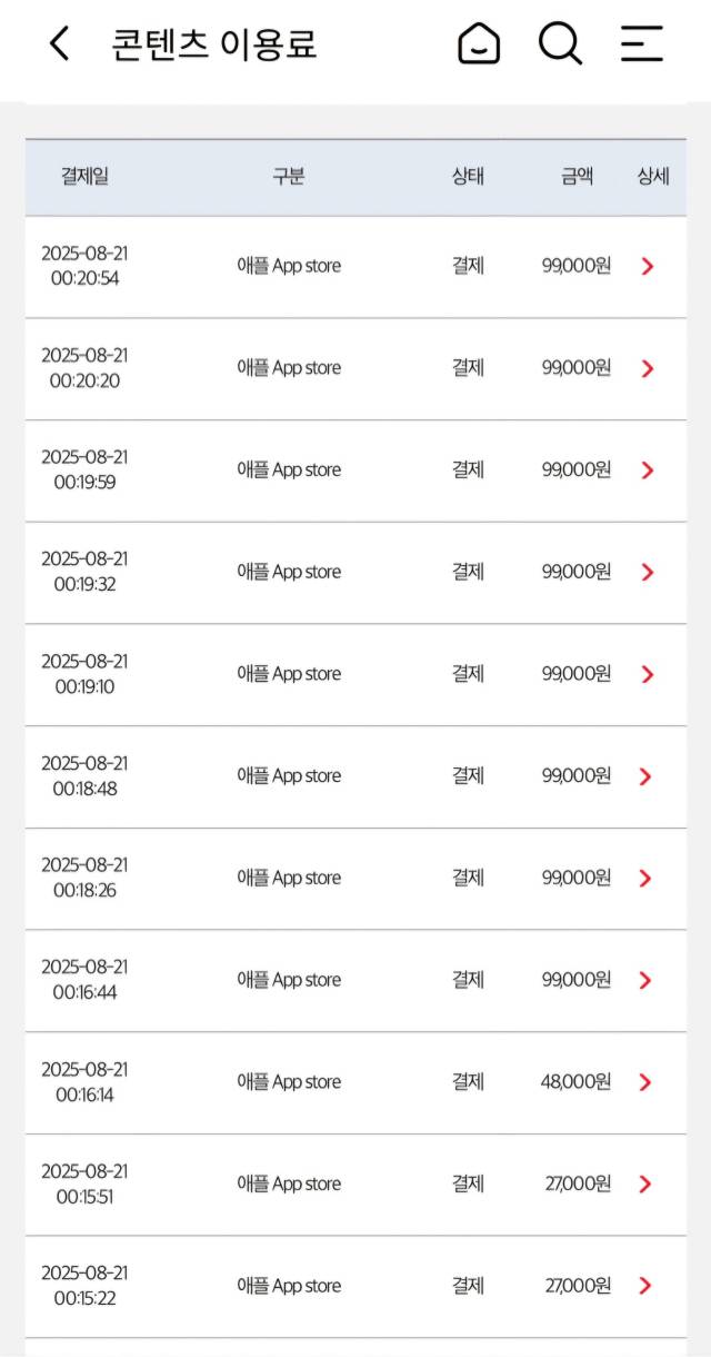 서모씨가 지난달 애플 계정 탈취로 결제 피해를 당한 사례. 서모씨 제공