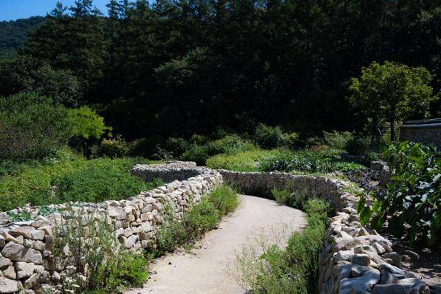 한국정원 '민초들의 삶' 남도돌담길 주위로 작물이 자라 있다.