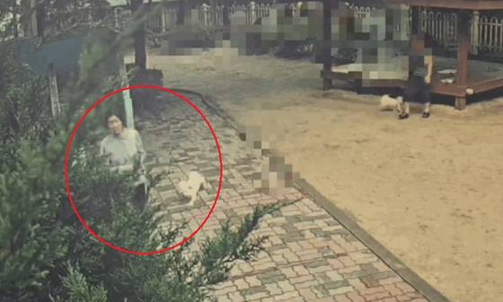 목줄을 하지 않은 말티즈가 길을 지나던 여성에게 달려오는 모습. 사진 온라인 커뮤니티 캡처