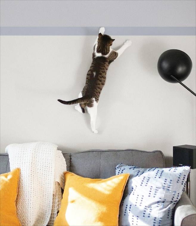 현대L&C의 펫월. /현대L&C 제공