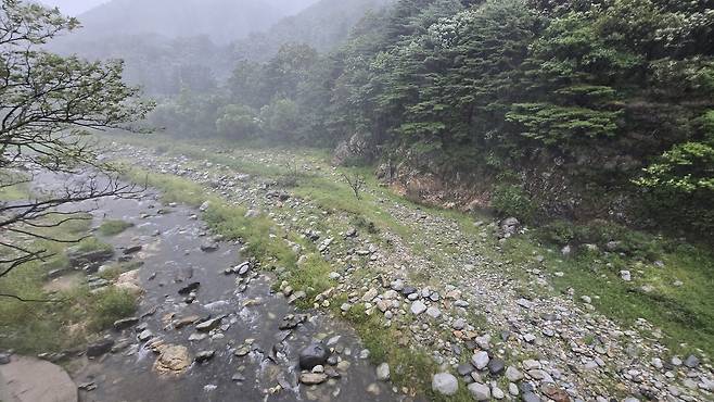 오봉저수지로 들어오는 왕산천 물줄기 [촬영 유형재]