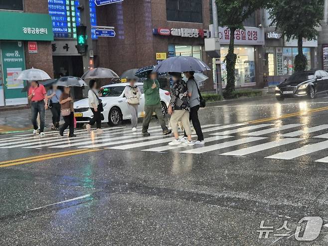 극심한 가뭄을 겪고 있는 강원 강릉에 단비가 내린 17일 시민들이 우산을 쓰고 횡단보도를 걷고 있다. 2025.9.17/뉴스1 윤왕근 기자