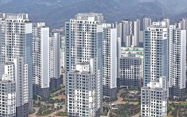 강남의 ‘옆세권’으로 불리는 경기도 과천 시내 아파트 단지들의 모습.  뉴스1