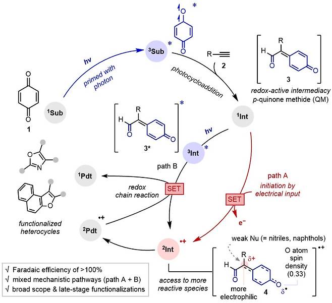광자-유도 전기화학 시스템 도식화. 선행되는 광반응을 통해 중간체를 형성한 뒤, 이를 전기화학적 산화 과정을 통해 높은 반응성을 지닌 종으로 전환시켜 반응성이 낮은 물질과도 상호작용 할 수 있음을 보여준다. 한국연구재단