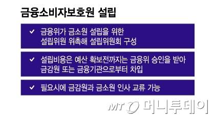 금융소비자보호원 설립/그래픽=이지혜