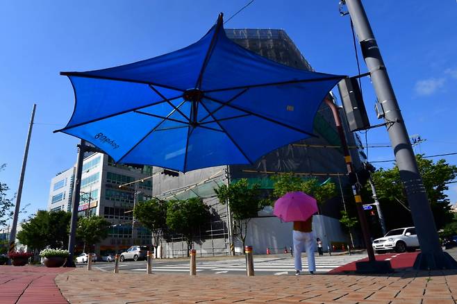 지난달 26일 경북 포항시 전역에 폭염특보가 발효 중인 가운데 출근길에 나선 시민이 포항시청 앞 횡단보도에 설치된 대형 우산 그늘막 밑에서  신호를 기다리고 있다./사진=뉴스1.