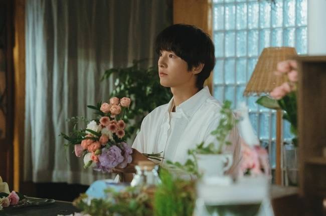 JTBC 금요시리즈 ‘마이 유스’ 제공