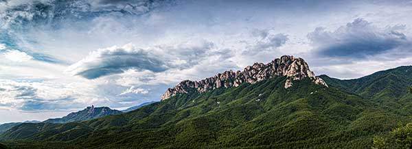 사진 게티이미지