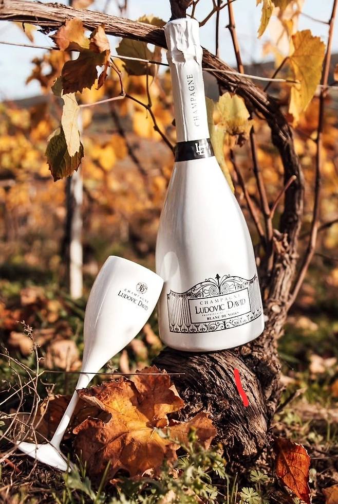 자스페로 와인 수입 샴페인 루도빅 다비드 블랑 드 누아. 인스타그램