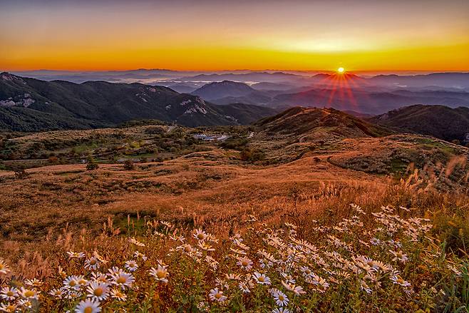 붉은노을 아래 은빛억새 풍경 ⓒ합천군