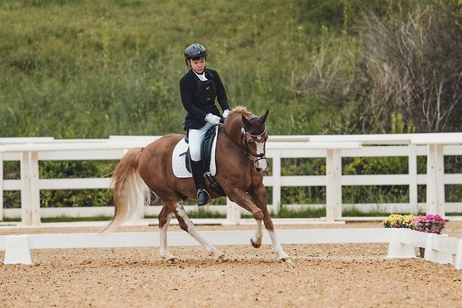 19일 경북 구미시승마장에서 대한승마협회가 주최하는 국가대표 3차 선발전을 겸해 열린 2025 추계전국승마대회서 GEF승마단 나원제가 경기에 임하고 있다. 사진=경기도승마협회