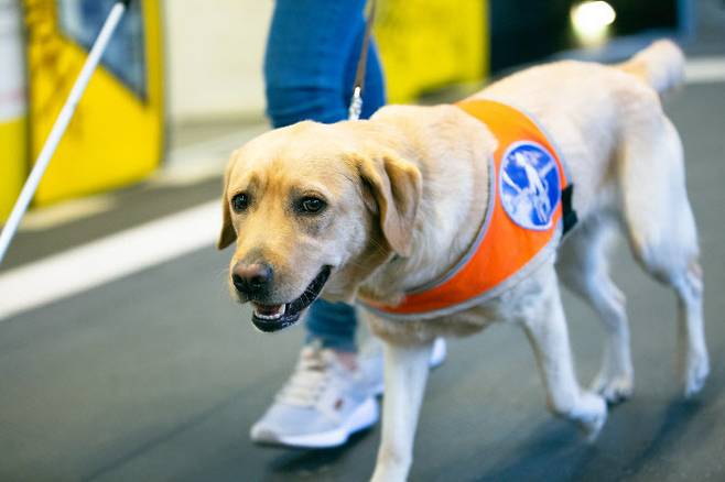 (사진=게티이미지코리아)