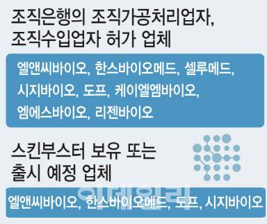 조직은행 조직가공처리·조직수입업자 허가, 스킨부스터 보유 또는 출시 예정 업체. (그래픽=이데일리 김일환 기자)